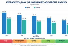 Bar chart showing average VO2 max ranges by age group and sex, used to measure cardiovascular endurance
